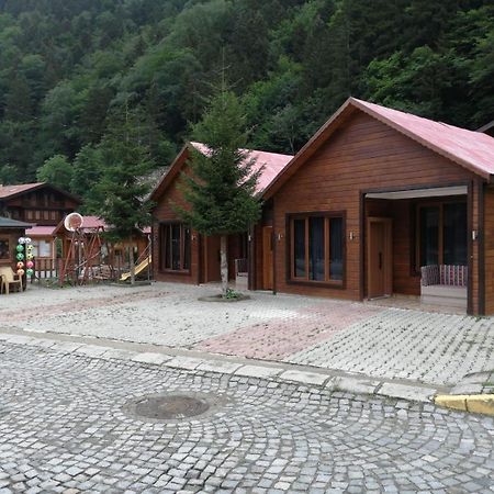 Zeren Apart Bungalov Uzungol Exterior photo